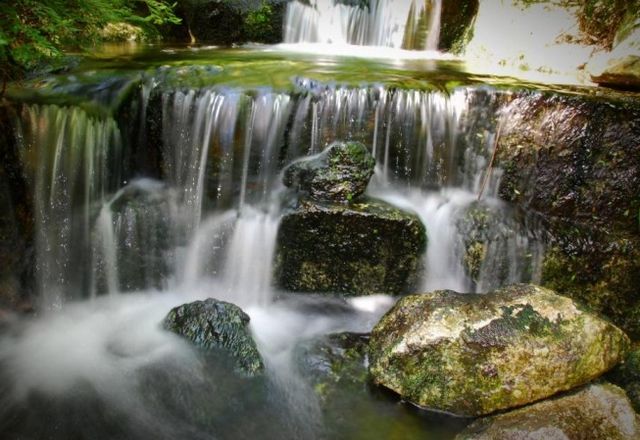 Penang Botanical Gardens
