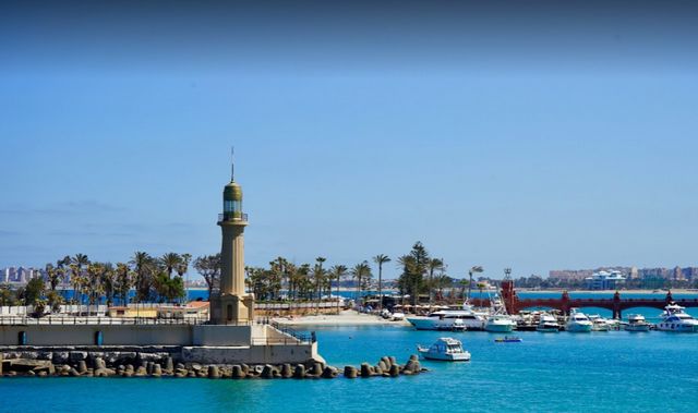 جزيرة الشاي الإسكندرية