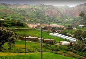 مدينة الشلف