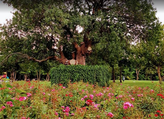 Florya Ataturk Ormani Forest Istanbul