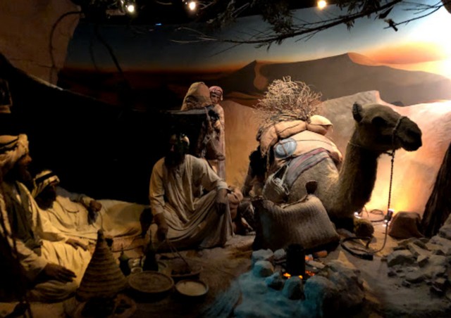 Abu Dhabi History Museum And Aquarium