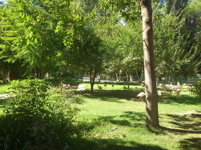 حدائق انقره