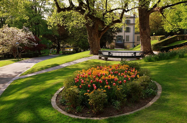 top things to do in Lausanne 