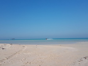 شواطئ قطر