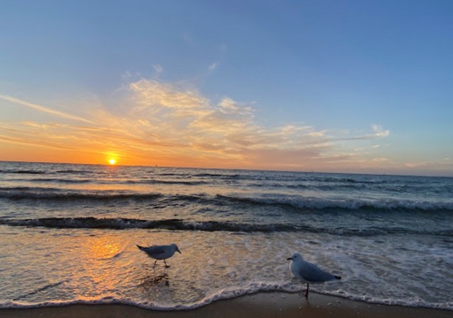 Brighton beach Melbourne