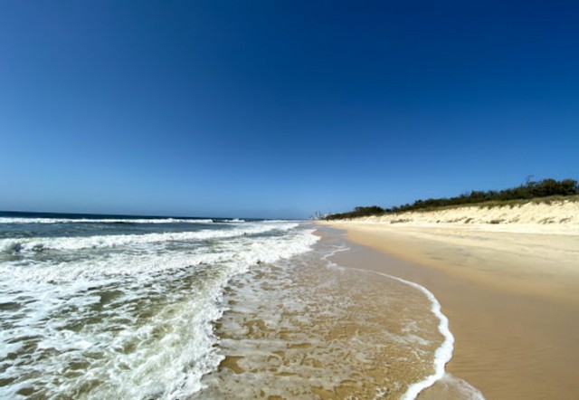 The Spit Dog Beach