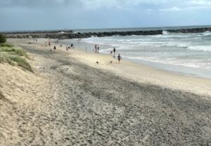 The Spit Dog Beach