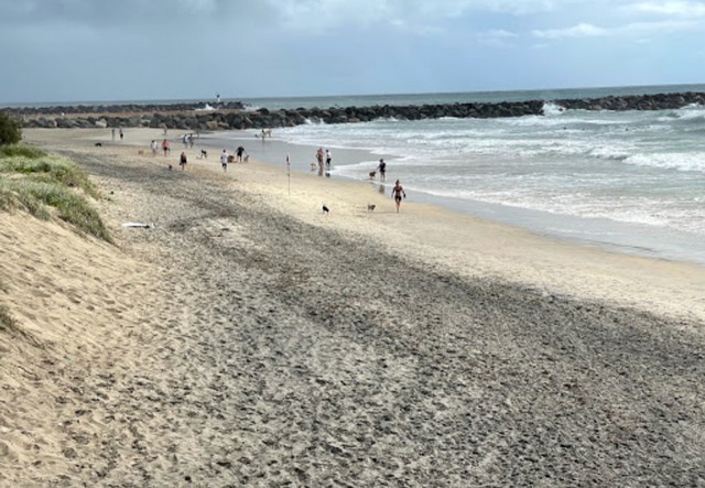 things to do in Gold Coast