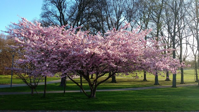 Beijers park Malmo - best things to do in Malmo 