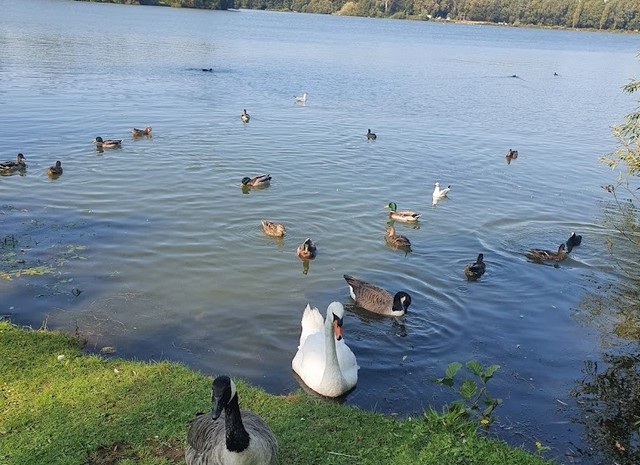 Colwick Country Park Nottingham