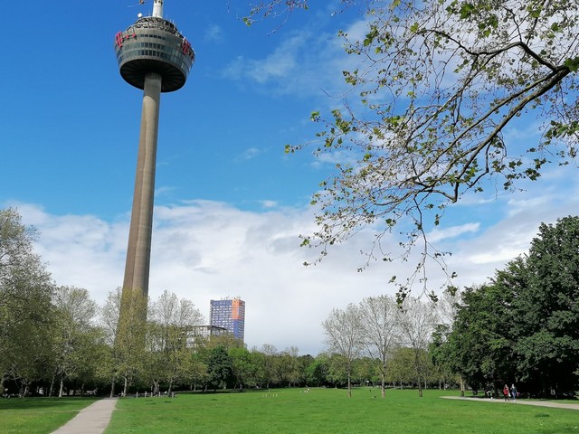 Green Belt Ladies Park