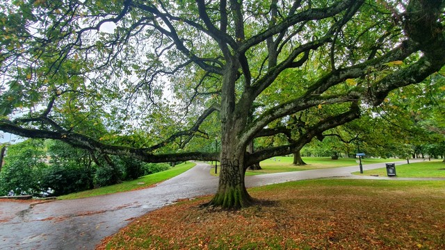nice parks in Gothenburg
