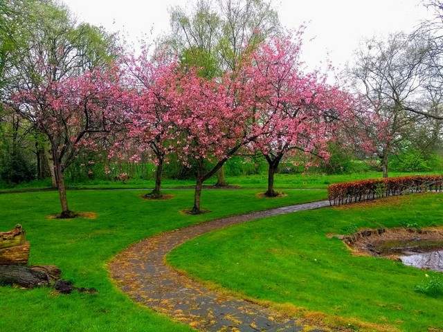 Perry Hall Park