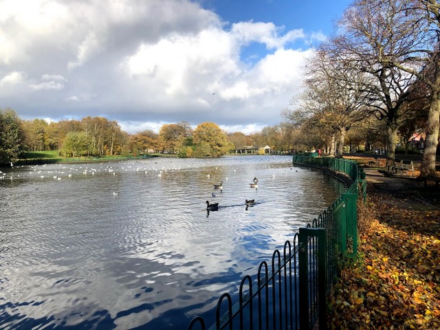 Small Heath Park