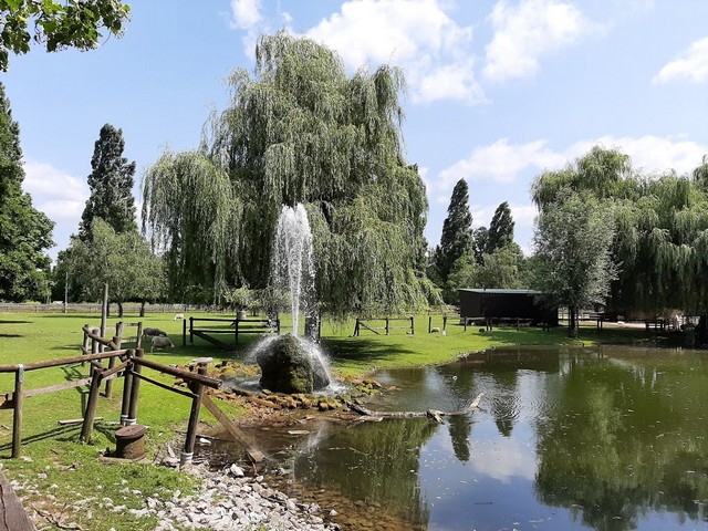 Tiergehege Park Baden Baden