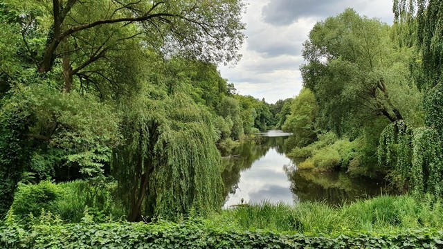 Volkspark Rehberge Berlin