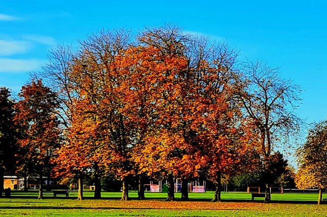 things to do in Nottingham with family