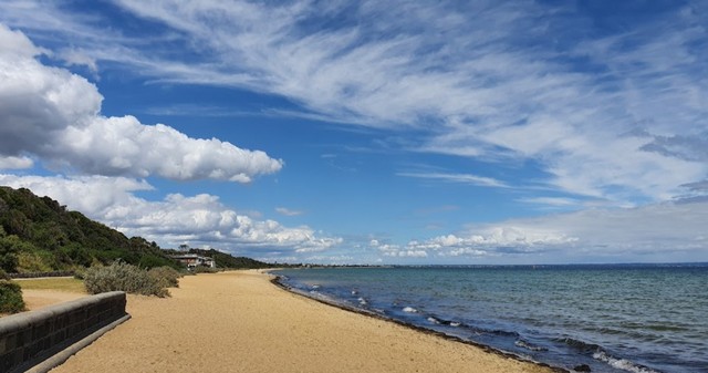 Dog Friendly Beach Melbourne