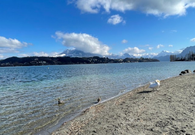 Ufschotti Beach Lucerne