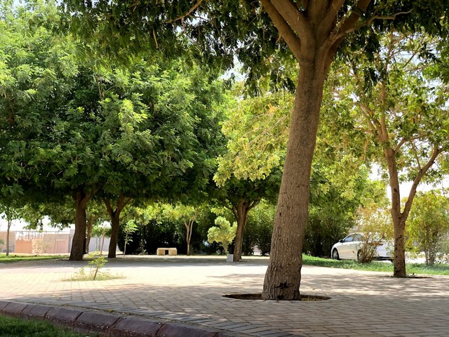 Al Hada Park in Riyadh
