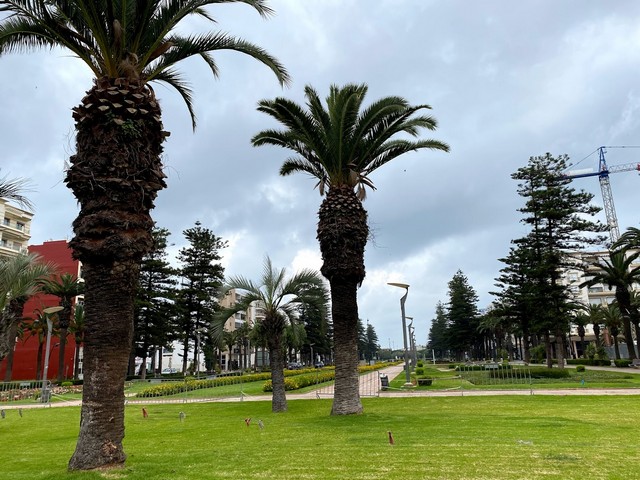 Alnada District Park in Riyadh