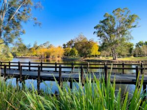 Gold Coast Regional Botanic Gardens
