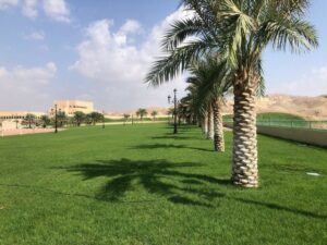 Green Mubazzarah