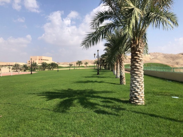 حديقة المبزرة الخضراء العين