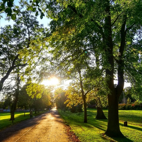 Inverleith Park
