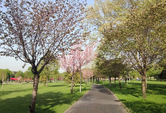 Merinos Park Bursa