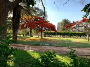حديقة الميريلاند القاهرة - حدائق القاهرة