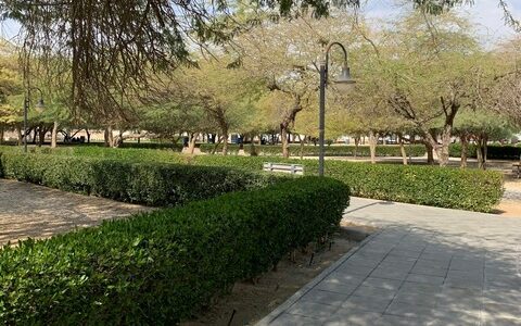 Muhammad Ibn Al Qassim Park in Riyadh
