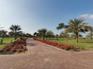 حديقة الصفيا عجمان - حدائق عجمان