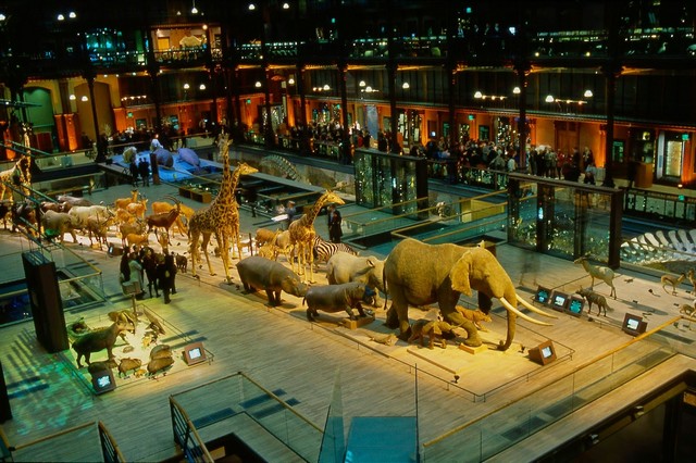 museums in Paris