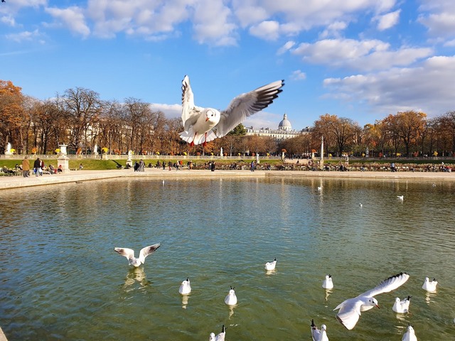 top things to do in Paris