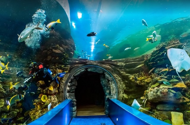 Entertainment in Sharjah - sharjah entertainment places
