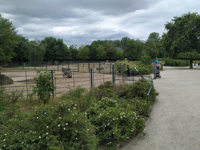 Tierpark Zoo Berlin