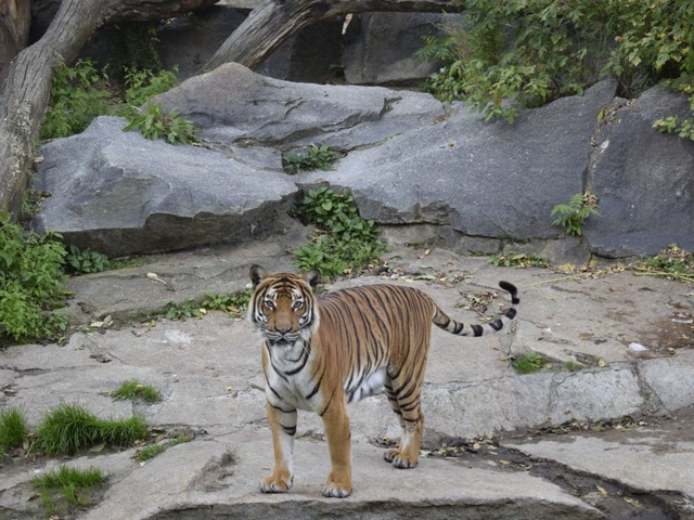 Tierpark Zoo Berlin