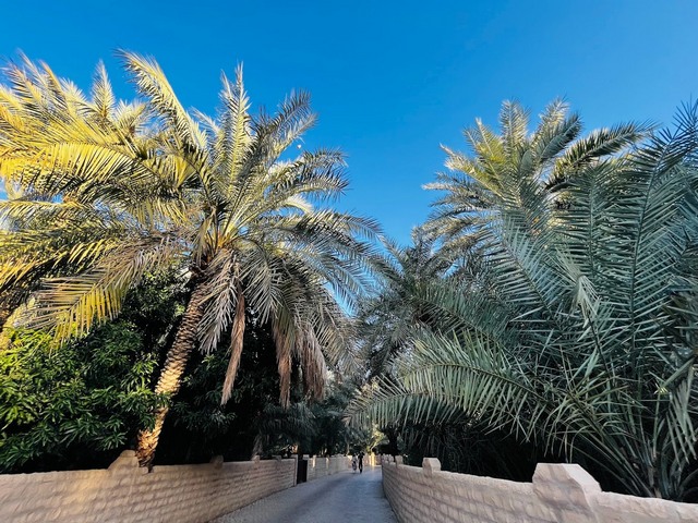 parks in Al Ain