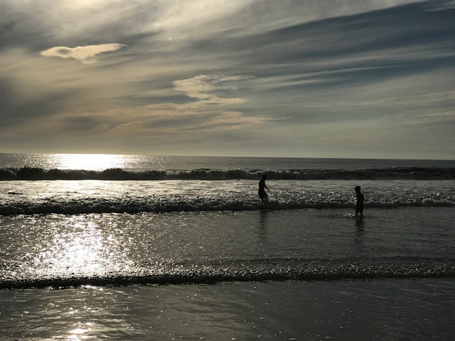 top beaches in Los Angeles