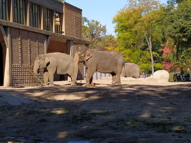 Berlin Zoological Garden