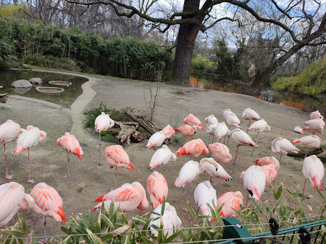 Berlin Zoological Garden