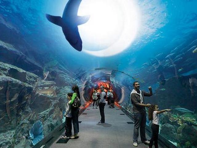 Berlin Zoological Garden