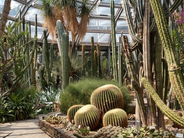 Botanical Garden Berlin