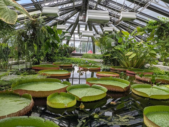 Botanical Garden Berlin