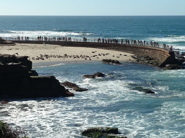 San Diego beaches - good beaches in san diego - great beaches in san diego