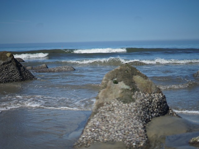best beaches in San Diego - best beaches in san diego california - cool beaches in san diego
