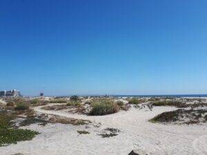Coronado Dog Park Beach San Diego