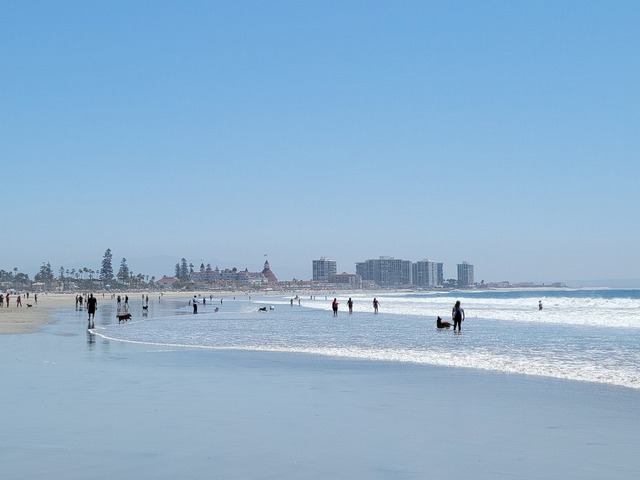 Coronado Dog Park Beach San Diego