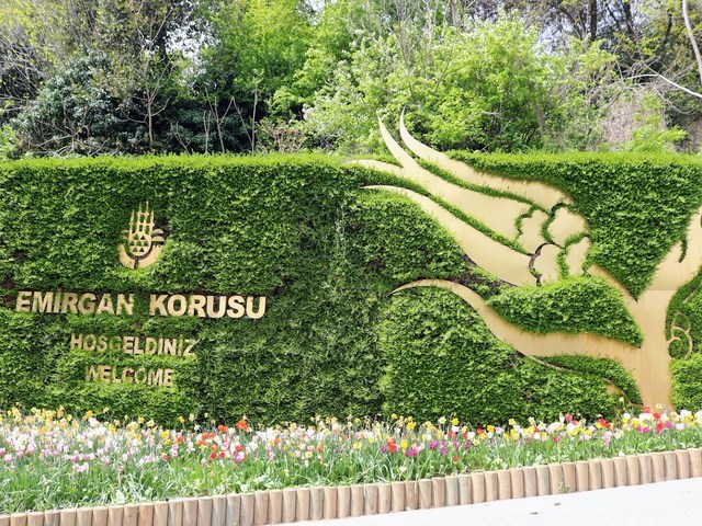 top things to do in Istanbul